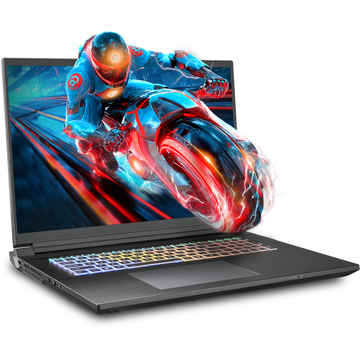 SAGER NP9581S (Clevo X580WNS-G) Gaming Laptop