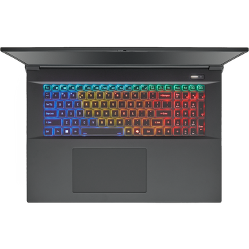 SAGER NP9581T (Clevo X580WNT-G) Gaming Laptop