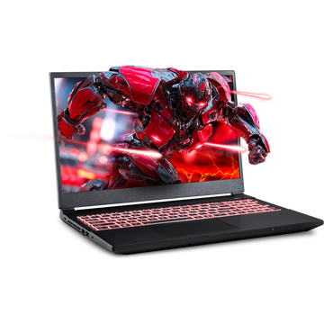 SAGER NP5251M (Clevo V255RNM) Gaming Laptop
